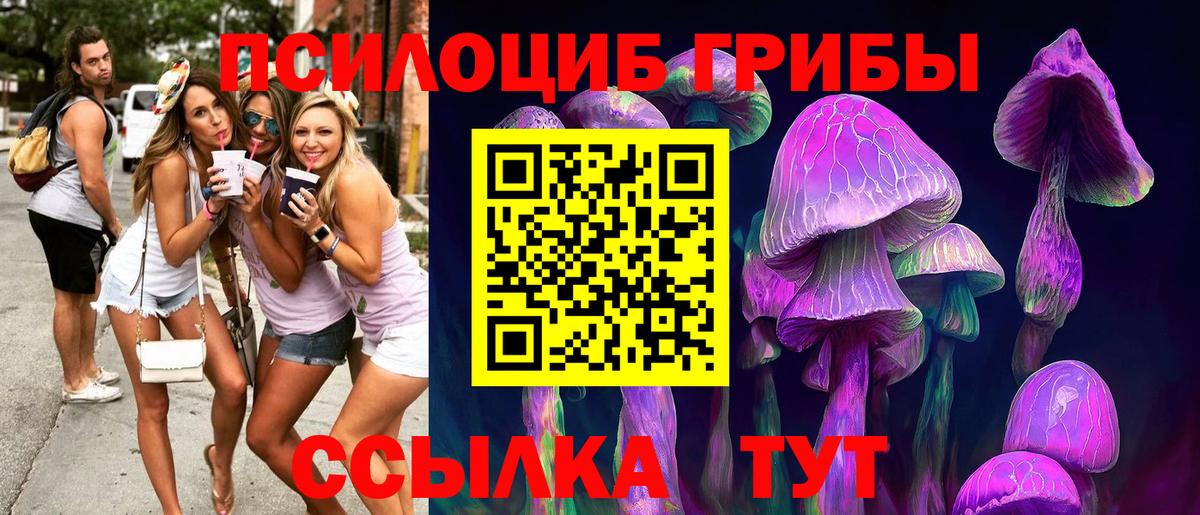 Первоуральск  Псилоцибиновые грибы Psilocybine cubensis  где купить наркоту  Вход с VPN  Галлюциногенные грибы Magic Shrooms 