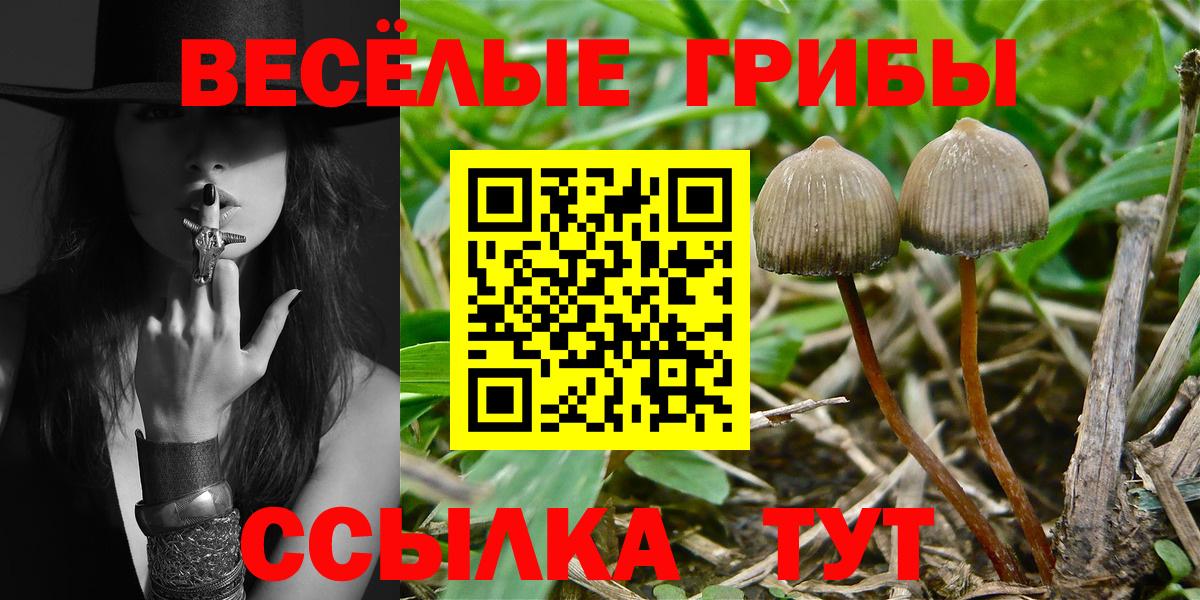 Галлюциногенные грибы мицелий Первоуральск